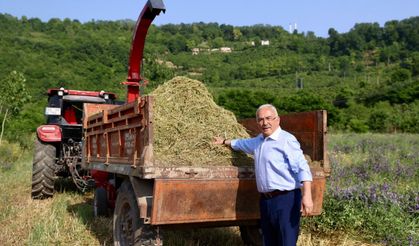 Ordu’da “5’li Karışım Kaba Yem” Projesi Üreticinin Yüzünü Güldürdü