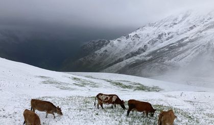 Temmuz Ortasında Kar Sürprizi: Kaçkarlar Beyaza Büründü, Turistler Hayrete Düştü