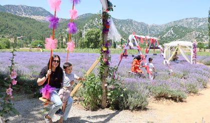 Lavanta Kokulu Hanımağalar dönüm dönüm ektiler şimdi yüzerlerce ziyaretçi ağırlıyorlar