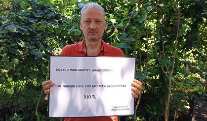 Fındıkta 2025 Felaketi: Maliyet 222 TL, Rekolte Tarihi Düşüşte