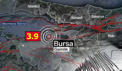 İstanbul’da Hissedilen Deprem Panik Yarattı: Merkez Üssü Bursa Gemlik