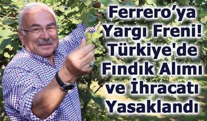 Ferrero’ya Yargı Freni: Türkiye'de Fındık Alımı ve İhracatı Yasaklandı