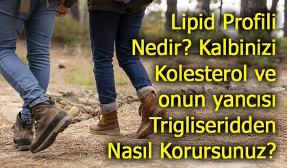 Lipid Profili Nedir? Kalbinizi Kolesterol ve onun yancısı Trigliseridden Nasıl Korursunuz?