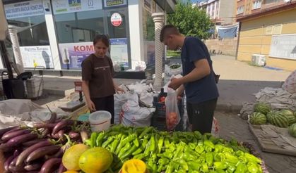 Üniversiteli kardeşler hem aileleri hem de kendileri için üretiyor