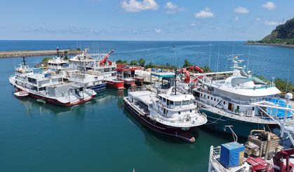 Karadeniz’de Palamut Göründü, Hamsi Bekleniyor!