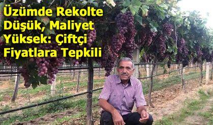 Manisa’da Üzüm Krizi: Ziraat Odası’ndan TARİŞ’e Sert Tepki