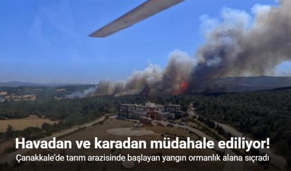 Çanakkale’de tarım arazisinde başlayan yangın ormanlık alana sıçradı