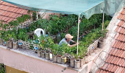 18 Metrekarelik Terastan 200 Bidonluk Bereket