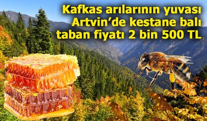 Kafkas arılarının yuvası Artvin’de kestane balına 2 bin 500 TL taban fiyat