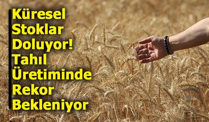 Küresel Tahıl Üretiminde Rekor Beklenti