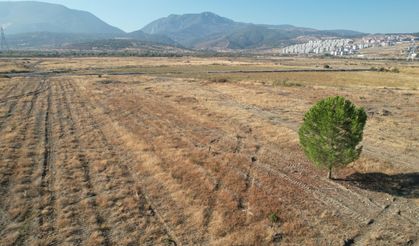 BYD'nin Manisa'daki fabrika sahasında sessizlik sürüyor!