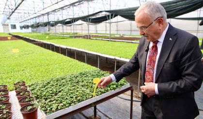 Ordu Büyükşehir Belediyesi 4,6 Milyon Sebze Fidesini Üreticilere Dağıttı