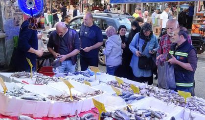 Samsun’da hamsi bereketi: Fiyat düşünce tezgâhlarda hareketlilik arttı