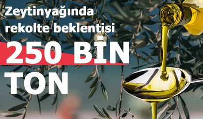 “Altın Damla”nın Başkentinde Hasat Festivali Başlıyor