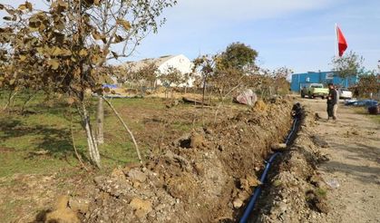 Ordu Büyükşehir Belediyesi’nden Fındıkta Verimlilik Hamlesi