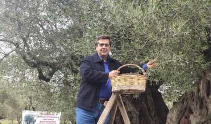 Dünya Zeytin Ağacı Günü Don ve Kuraklığın Gölgesinde Buruk Kutlandı