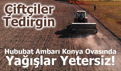 Hububat Ambarı Konya Ovasında Yağışlar Yetersiz, Çiftçiler Tedirgin