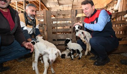 Tarım teşkilatı koyunu 9 doğuran besiciyi ziyaret etti