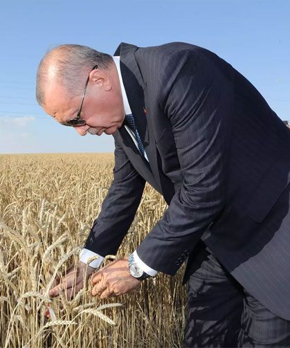 Erdoğan'dan çiftçilere müjde üstüne müjde!