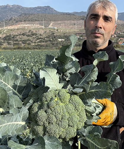 Brokoli Hasadı Başladı: Yeşil Altın Tarladan Pazara Üçe Katlanıyor