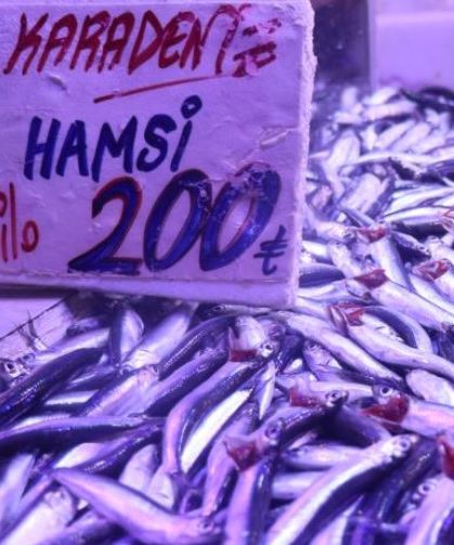 Karadeniz’den Taze Hamsi Geldi, Pazarda Hareketlilik Başladı