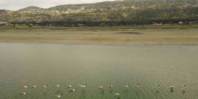 Kuraklıkla boğuşan Burdur Gölünde Flamingoların dansı