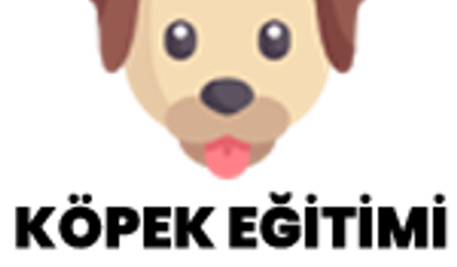 Köpek Egitimi