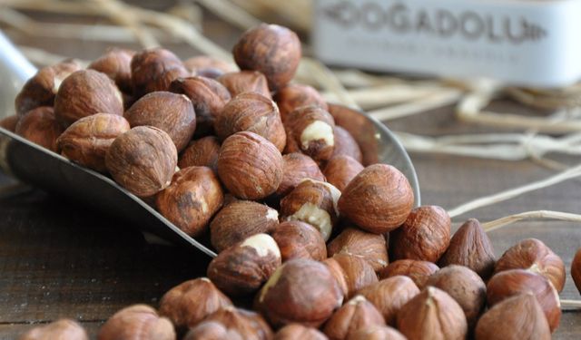 Fındık Tüccarı: Fiyatlar Mart 2026 Rekoltesine Göre Şekillenecek
