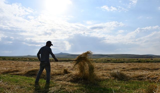 Ardahan'da çiftçi olmak nedir, biliyor musunuz?