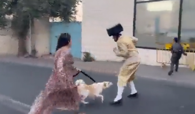 Başı açık olduğu için saldırıya uğrayan kadını, köpeği kurtardı!