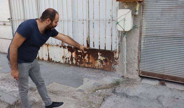 Fareli apartman sakinleri çözüm bekliyor!