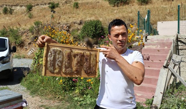 Arılara yazmayı öğreten adam