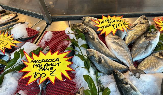 Balık çeşidi az olunca fiyatlar yükseldi