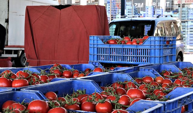 Antalya'da domates miktarı azaldı, sebze miktarı arttı