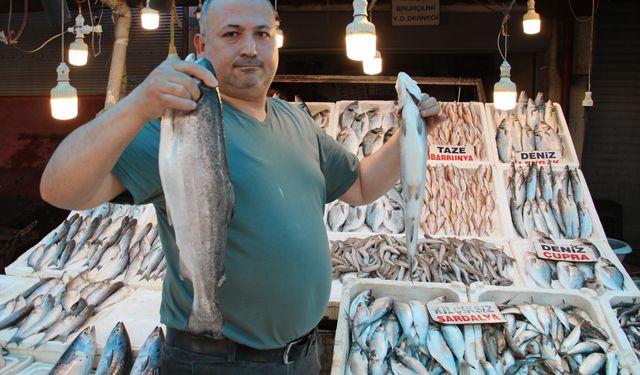 Av yasağının başlamasıyla balık çeşitliliği azalacak ama fiyatlar aynı kalacak mı?