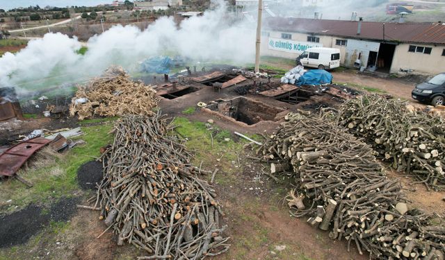 Dev ocaklarda yakılan odunlar kömür olarak yurt dışına gönderiliyor