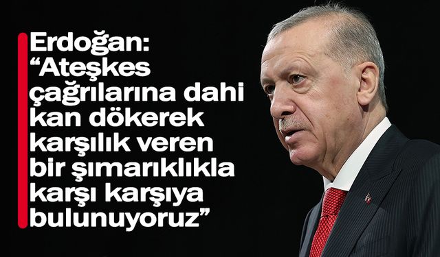 Erdoğan: “Ateşkes çağrılarına dahi kan dökerek karşılık veren bir şımarıklıkla karşı karşıya bulunuyoruz”