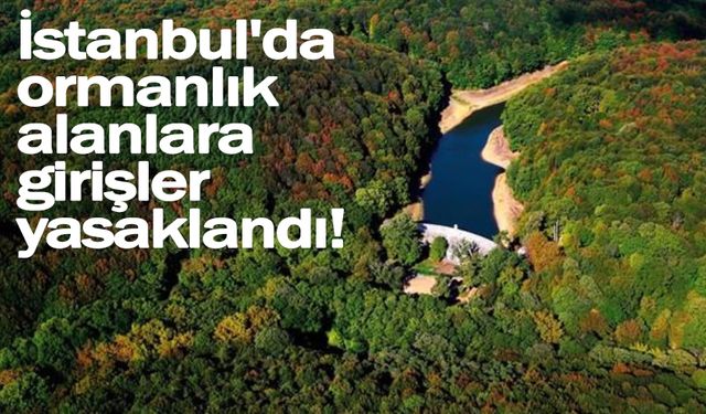 Valilik açıkladı: İstanbul'da ormanlık alanlara girişler yasak!