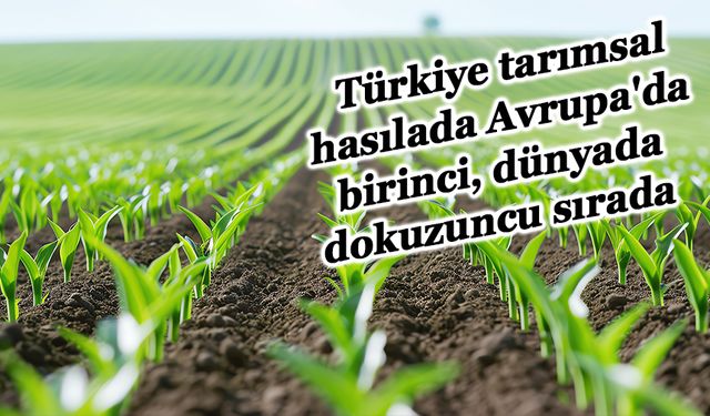 Türkiye tarımsal hasılada Avrupa'da birinci, dünyada dokuzuncu sırada