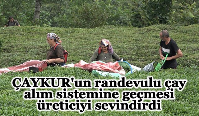 ÇAYKUR'un randevulu çay alım sistemine geçmesi üreticiyi sevindirdi