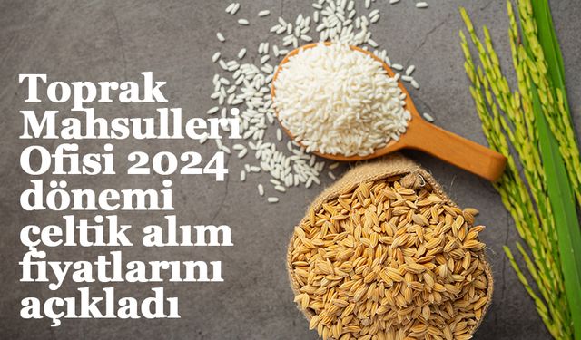 Toprak Mahsulleri Ofisi 2024 dönemi çeltik alım fiyatları belirlendi