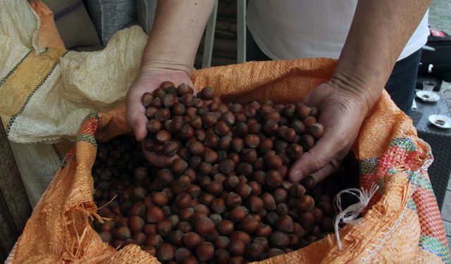 Serbest piyasada fındık fiyatı randımana bağlı