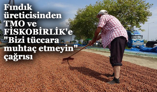 Fındık üreticisinden TMO ve FİSKOBİRLİK'e "Bizi tüccara muhtaç etmeyin" çağrısı