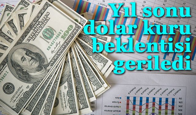 Yıl sonu dolar kuru beklentisi geriledi