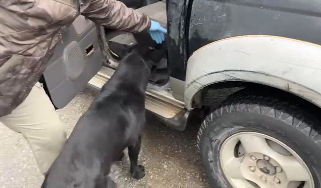 Narkotik dedektör köpeği Tony, araçtaki zulada eroin ve metamfetamin buldu