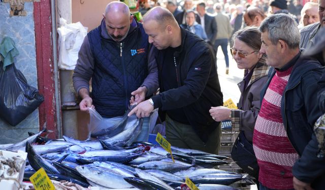 Palamut bereketine balıkçılar bile şaşkın: "Böyle bir sezon yaşamadık"