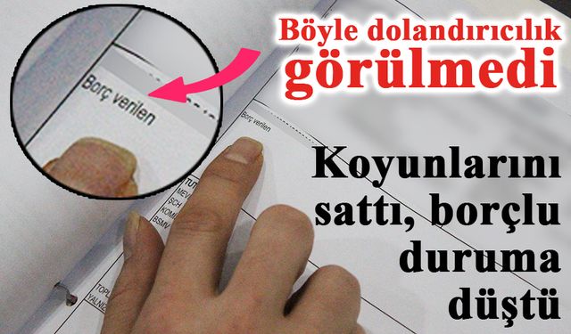 Böyle dolandırıcılık görülmedi, koyunlarını sattı, borçlu duruma düştü