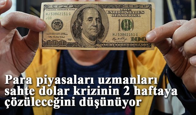 Para piyasaları uzmanları: "Sahte dolar krizi 2 haftaya çözülür"