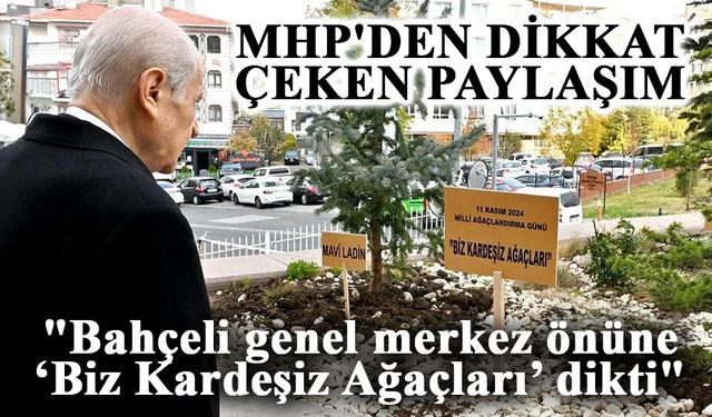 MHP'den dikkat çeken paylaşım: "Bahçeli genel merkez önüne ‘Biz Kardeşiz Ağaçları’ dikti"