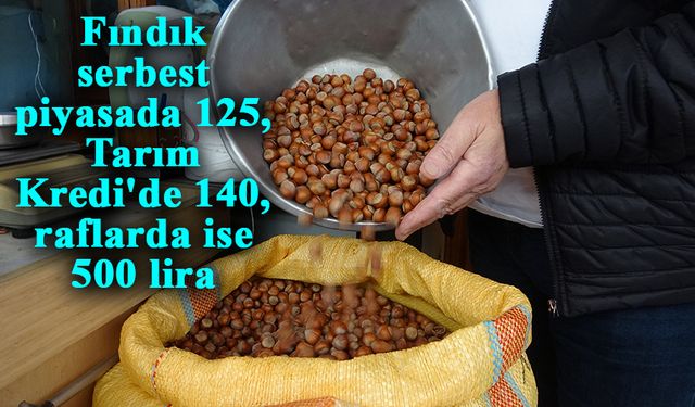 Fındık serbest piyasada 125, Tarım Kredi'de 140, raflarda ise 500 lira